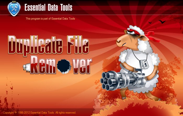 Duplicate File Remover 3.6.24